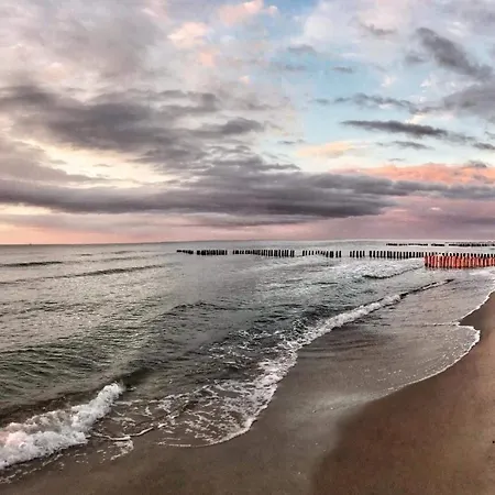 ホームステイ Cove *