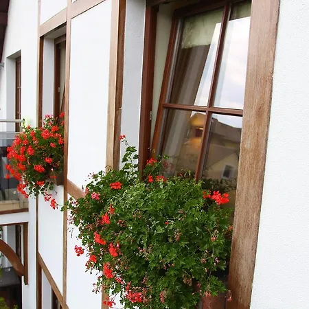 ホームステイ Cove