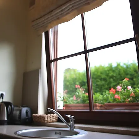 Cove ホームステイ