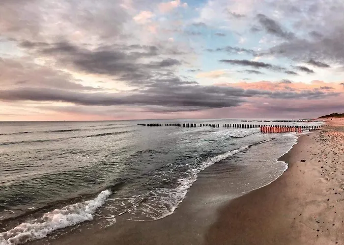 בית אירוח Cove *