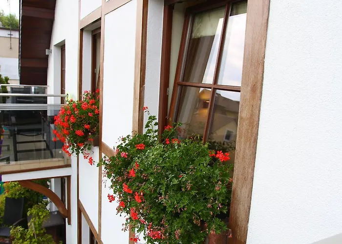 בית אירוח Cove