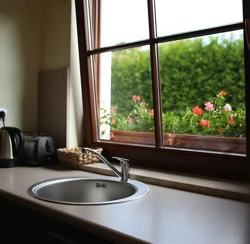 בית אירוח Cove